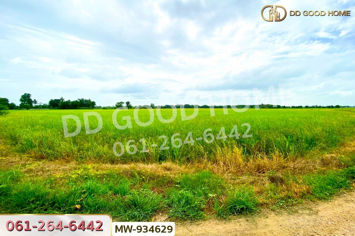 ขายที่ดินอ่างทอง : AW-934629 ที่ดินแสวงหา 5 ไร่ 337 ตร.ว. อ่างทอง ใกล้วัดบ้านพราน