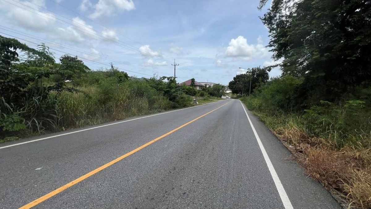 ขายที่ดินระยอง : ขายที่ดินติดถนนซอย11 นิคมพัฒนา ระยอง 22-3-74.5 ไร่