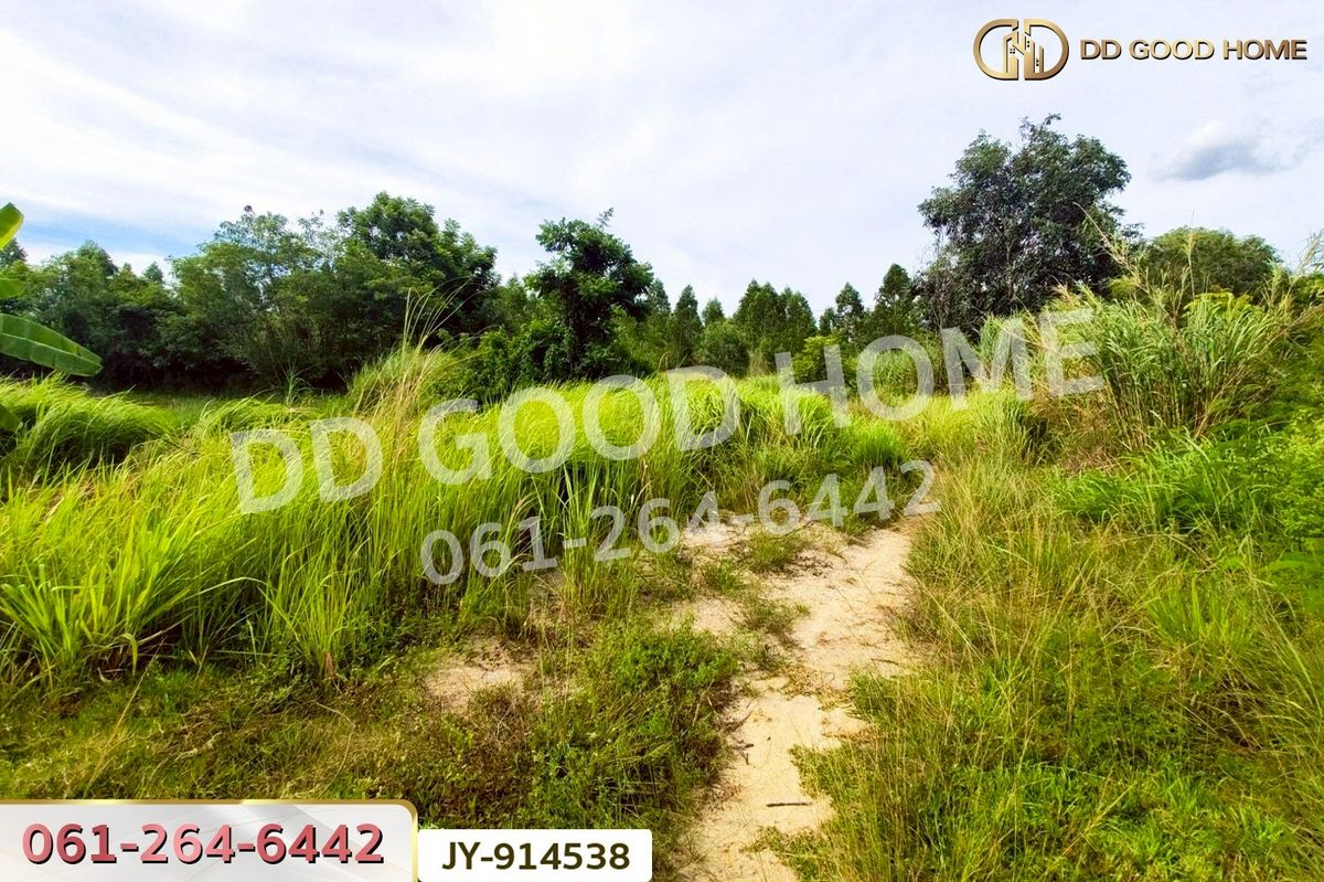 ขายที่ดินฉะเชิงเทรา : DD-914538 ที่ดินพนมสารคาม 9 ไร่ ซ.เทศบาล 1 ฉะเชิงเทรา ใกล้องค์การบริหารส่วนตำบลเขาหินซ้อน