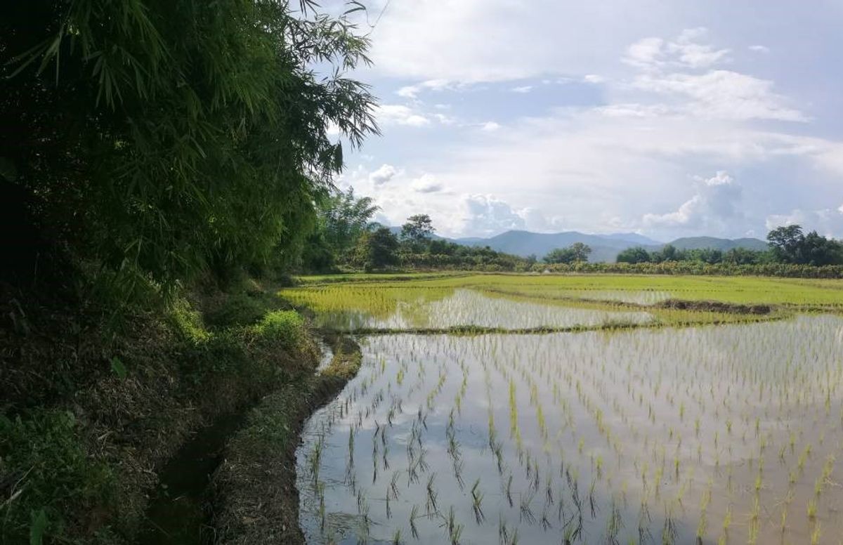 For SaleLandChiang Mai : Agricultural land, Golden location, Phrao District, Chiang Mai area: 28 Rai 3 ngan 20 square wah (total 11,520 sq.w.)