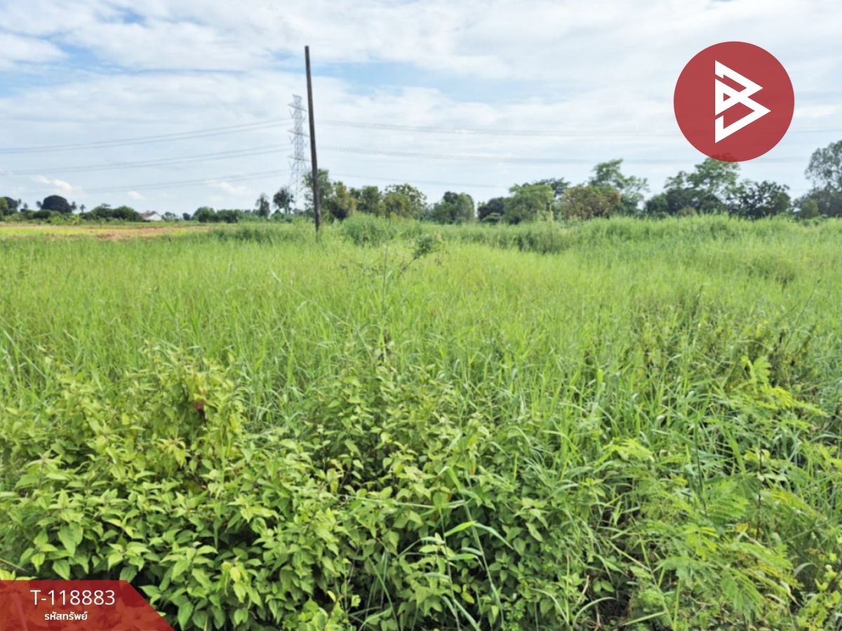 ขายที่ดินพิษณุโลก : ขายที่ดิน เนื้อที่ 67 ตร.วา สมอแข พิษณุโลก