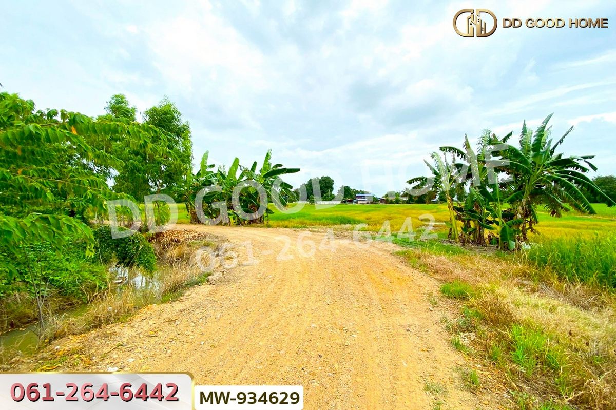 ขายที่ดินอ่างทอง : AW-934629 ที่ดินแสวงหา 5 ไร่ 337 ตร.ว. อ่างทอง ใกล้วัดบ้านพราน