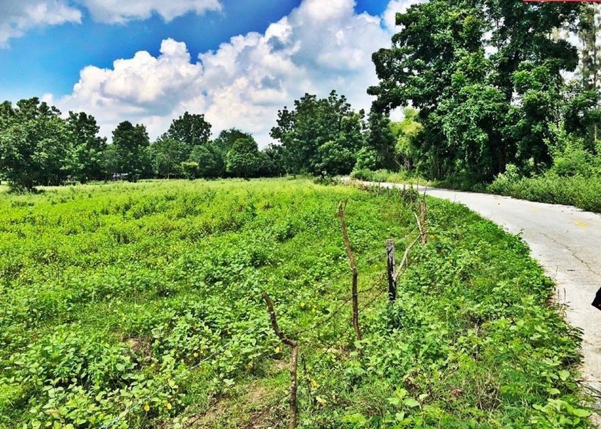 ขายที่ดินชะอำ เพชรบุรี : ขายที่ดิน สามพระยา ชะอำ จ.เพชรบุรี 19-1-97 ไร่ พื้นที่เกษตรกรรม เหมาะซื้อเพื่อการลงทุน ราคา 19.4 ลบ.*