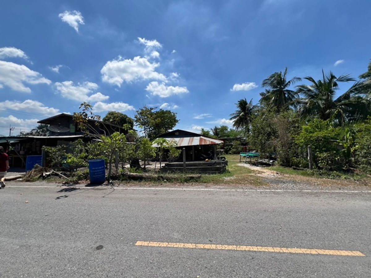 ขายบ้านสระบุรี : ขายบ้านเดี่ยว  พร้อมที่ดิน 100 ตรว ต.สร่างโศก อ.บ้านหมอ  สระบุรี ราคาถูกมาก 