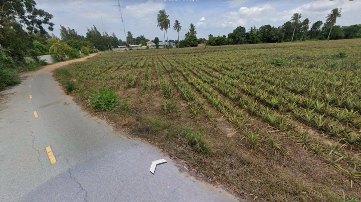 ขายที่ดินชะอำ เพชรบุรี : ขายที่ดิน สามพระยา ชะอำ จ.เพชรบุรี 19-1-97 ไร่ พื้นที่เกษตรกรรม เหมาะซื้อเพื่อการลงทุน ราคา 19.4 ลบ.*