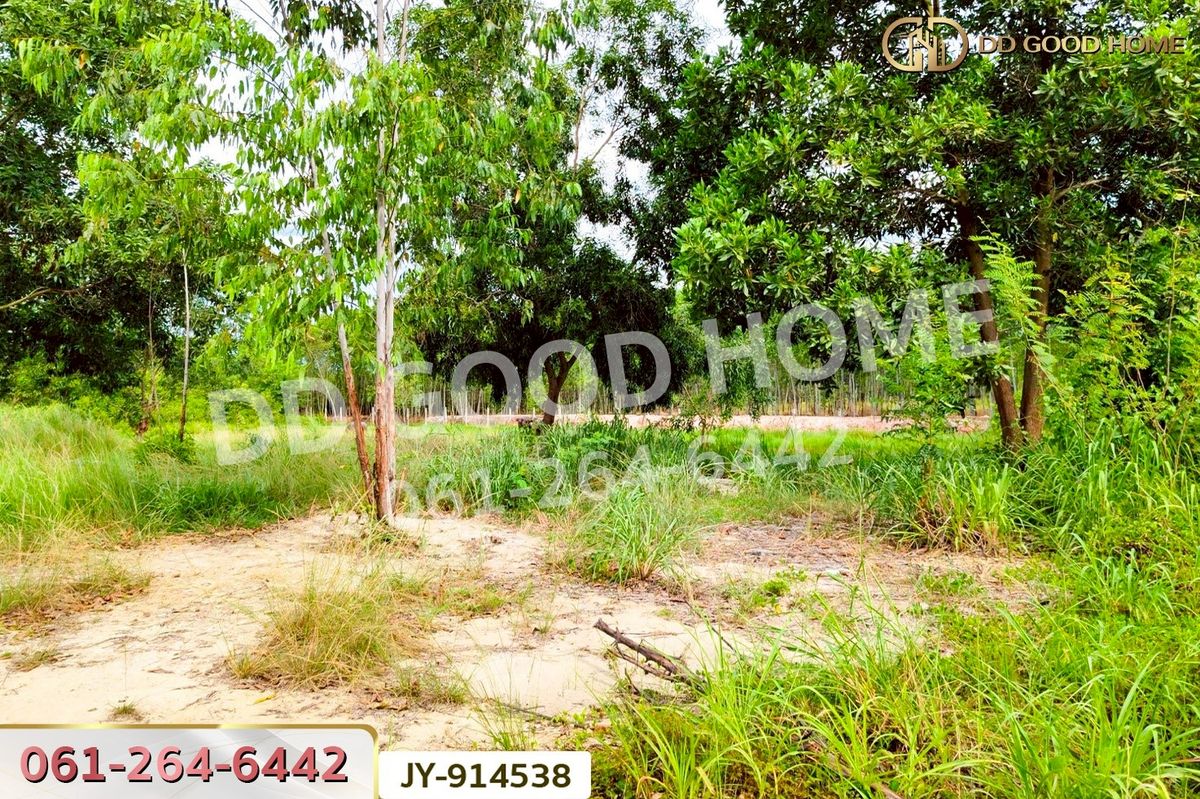 ขายที่ดินฉะเชิงเทรา : DD-914538 ที่ดินพนมสารคาม 9 ไร่ ซ.เทศบาล 1 ฉะเชิงเทรา ใกล้องค์การบริหารส่วนตำบลเขาหินซ้อน