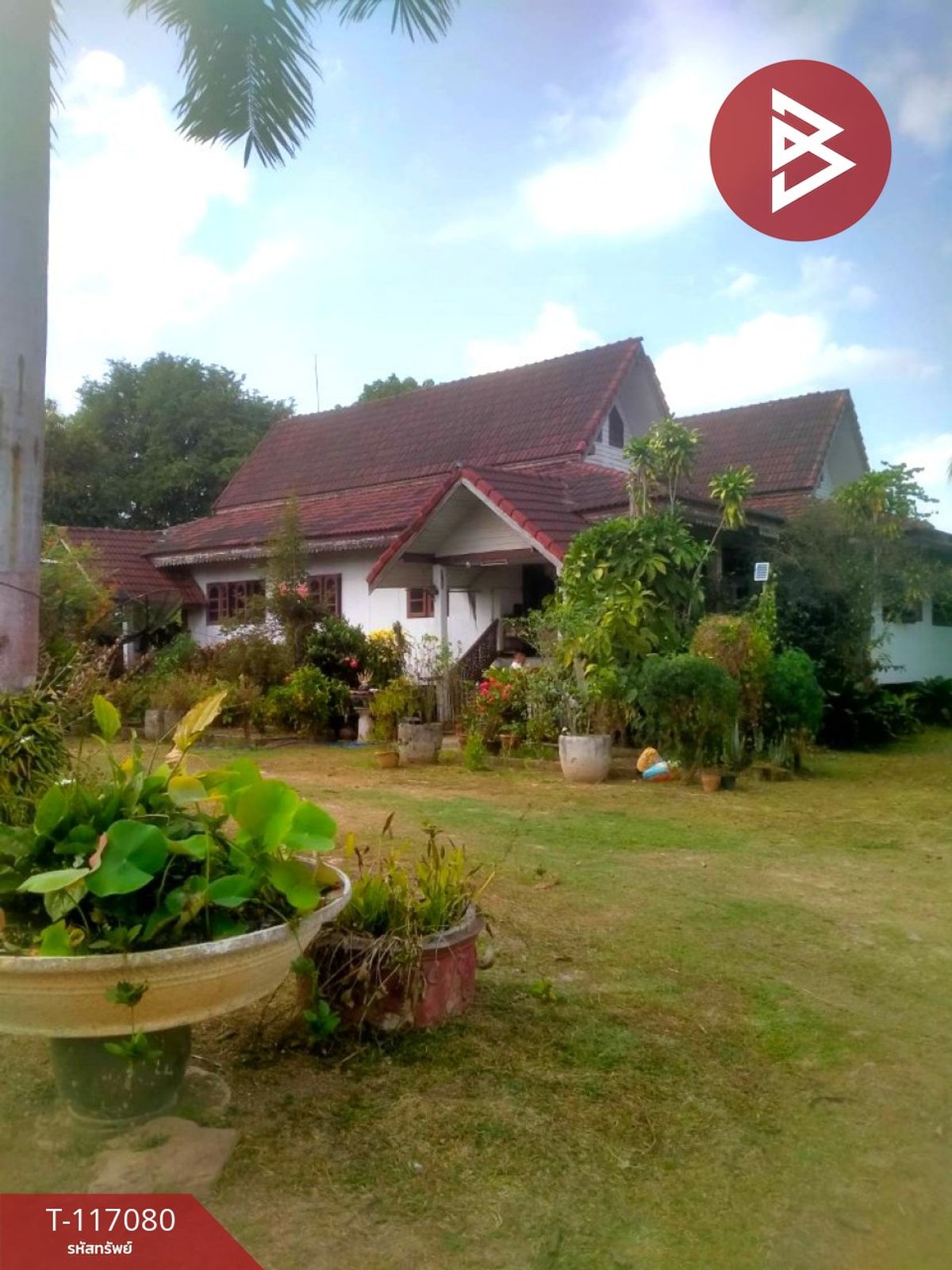 For SaleHouseChiang Rai : House for sale with land area of 7 rai 45.7 sq.w., Chiang Rai
