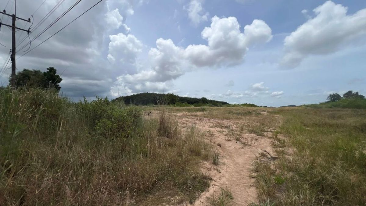 ขายที่ดินระยอง : ขายที่ดินติดถนนซอย11 นิคมพัฒนา ระยอง 22-3-74.5 ไร่