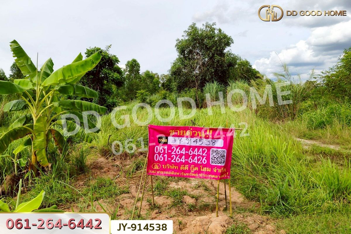 ขายที่ดินฉะเชิงเทรา : DD-914538 ที่ดินพนมสารคาม 9 ไร่ ซ.เทศบาล 1 ฉะเชิงเทรา ใกล้องค์การบริหารส่วนตำบลเขาหินซ้อน