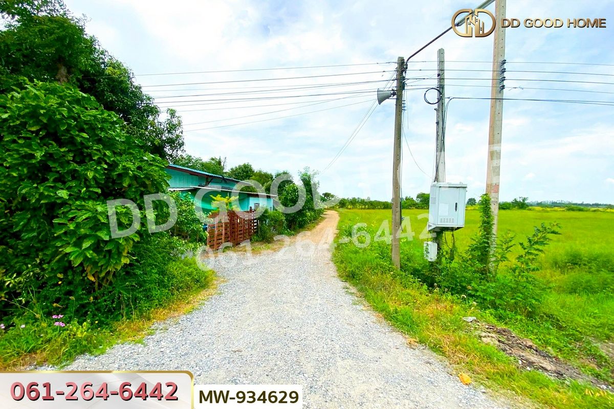 ขายที่ดินอ่างทอง : AW-934629 ที่ดินแสวงหา 5 ไร่ 337 ตร.ว. อ่างทอง ใกล้วัดบ้านพราน