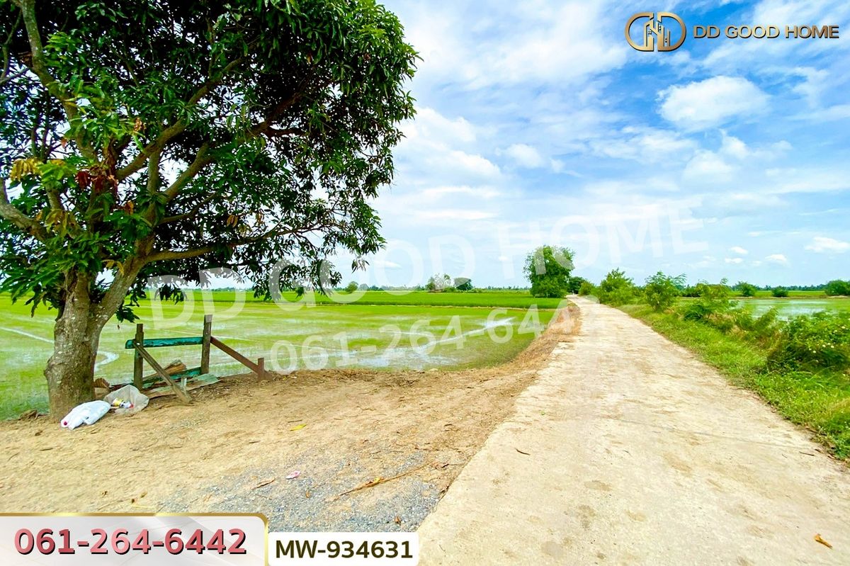 ขายที่ดินอ่างทอง : AW-934631 ที่ดินวังน้ำเย็น 19 ไร่ 46 ตร.ว. อ่างทอง ใกล้วัดหนองยาง