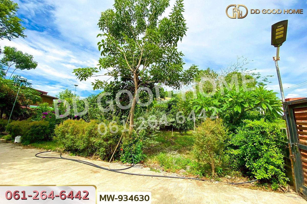 ขายที่ดินอ่างทอง : AW-934630 ที่ดินพร้อมสิ่งปลูกสร้างหัวไผ่ 1 ไร่ 78.7 ตร.ว. อ่างทอง ใกล้โรงเรียนวัดเชิงหวาย