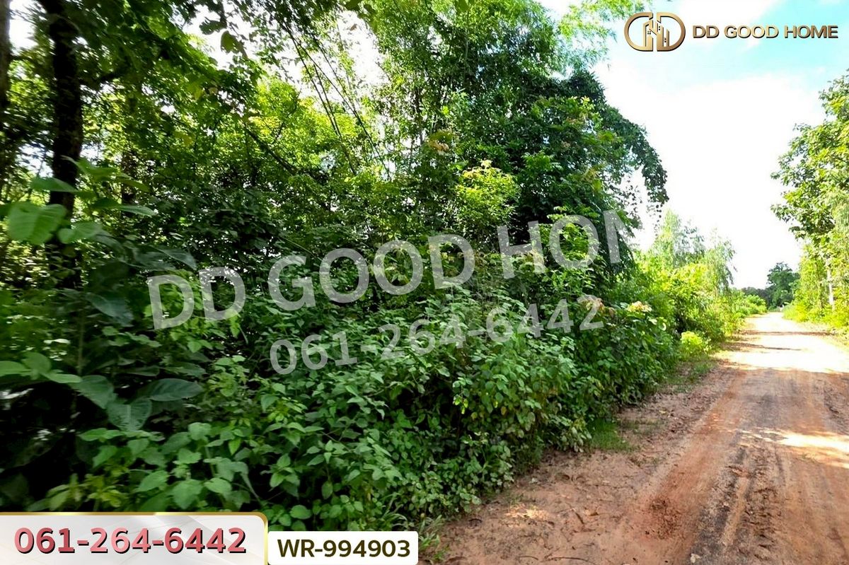 ขายที่ดินอุดรธานี : WR-994903 ที่ดินหนองนาคำ 15 ไร่ อุดรธานี ใกล้วัดป่าศิริมงคล