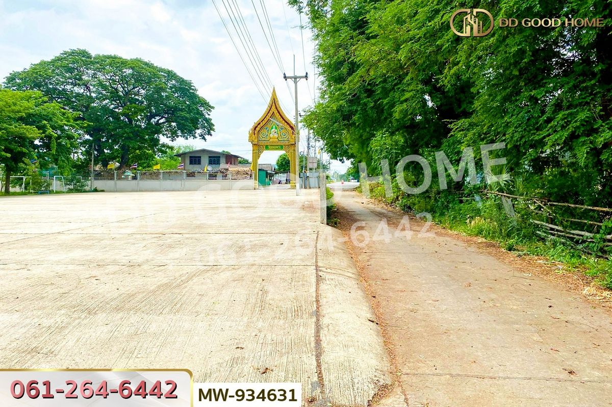 ขายที่ดินอ่างทอง : AW-934631 ที่ดินวังน้ำเย็น 19 ไร่ 46 ตร.ว. อ่างทอง ใกล้วัดหนองยาง