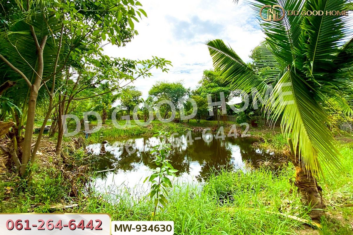 ขายที่ดินอ่างทอง : AW-934630 ที่ดินพร้อมสิ่งปลูกสร้างหัวไผ่ 1 ไร่ 78.7 ตร.ว. อ่างทอง ใกล้โรงเรียนวัดเชิงหวาย