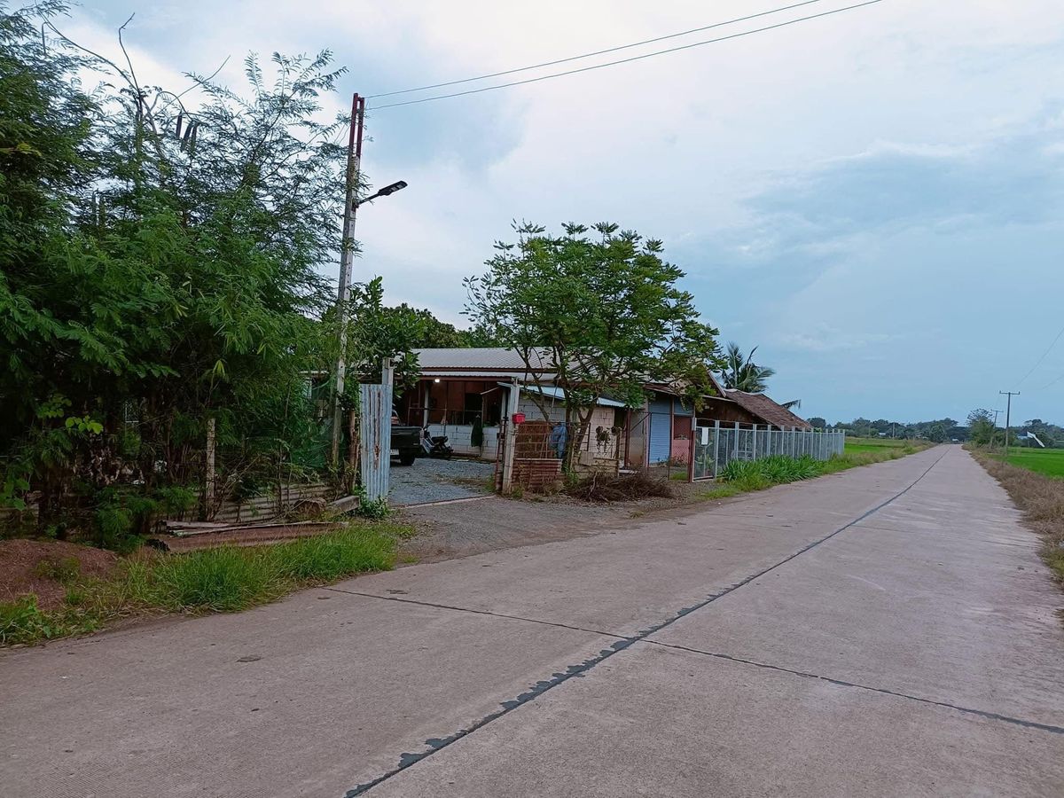 ขายที่ดินเพชรบูรณ์ : ขายบ้าน 2 หลัง พร้อมที่ดิน 9 ไร่ 3 งาน อ.ศรีเทพ จ.เพชรบูรณ์