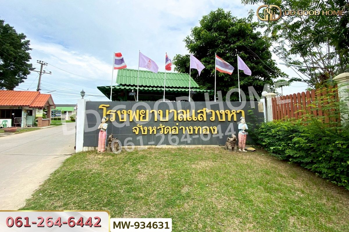 ขายที่ดินอ่างทอง : AW-934631 ที่ดินวังน้ำเย็น 19 ไร่ 46 ตร.ว. อ่างทอง ใกล้วัดหนองยาง