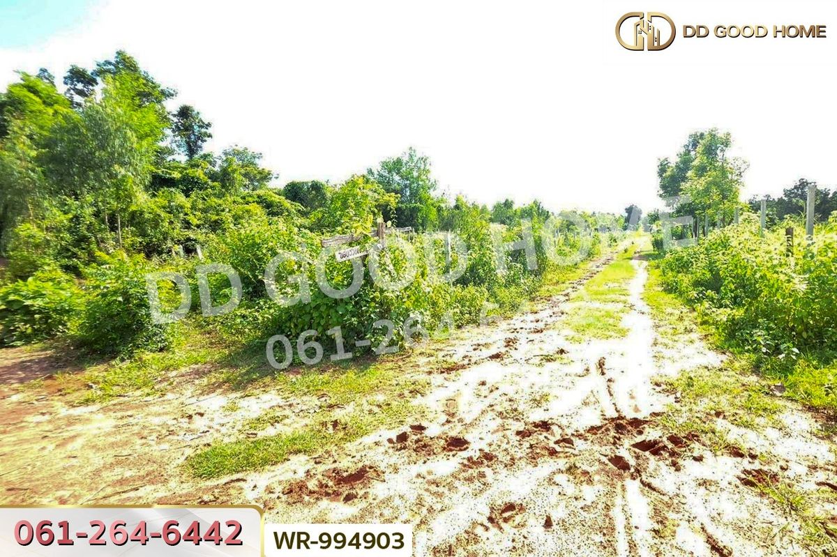 ขายที่ดินอุดรธานี : WR-994903 ที่ดินหนองนาคำ 15 ไร่ อุดรธานี ใกล้วัดป่าศิริมงคล