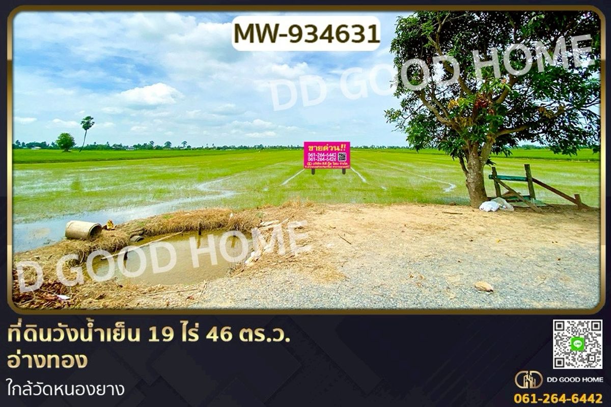For SaleLandAng Thong : MW-934631 Wang Nam Yen land, 19 rai 46 sq wah, Ang Thong, near Nong Yang Temple