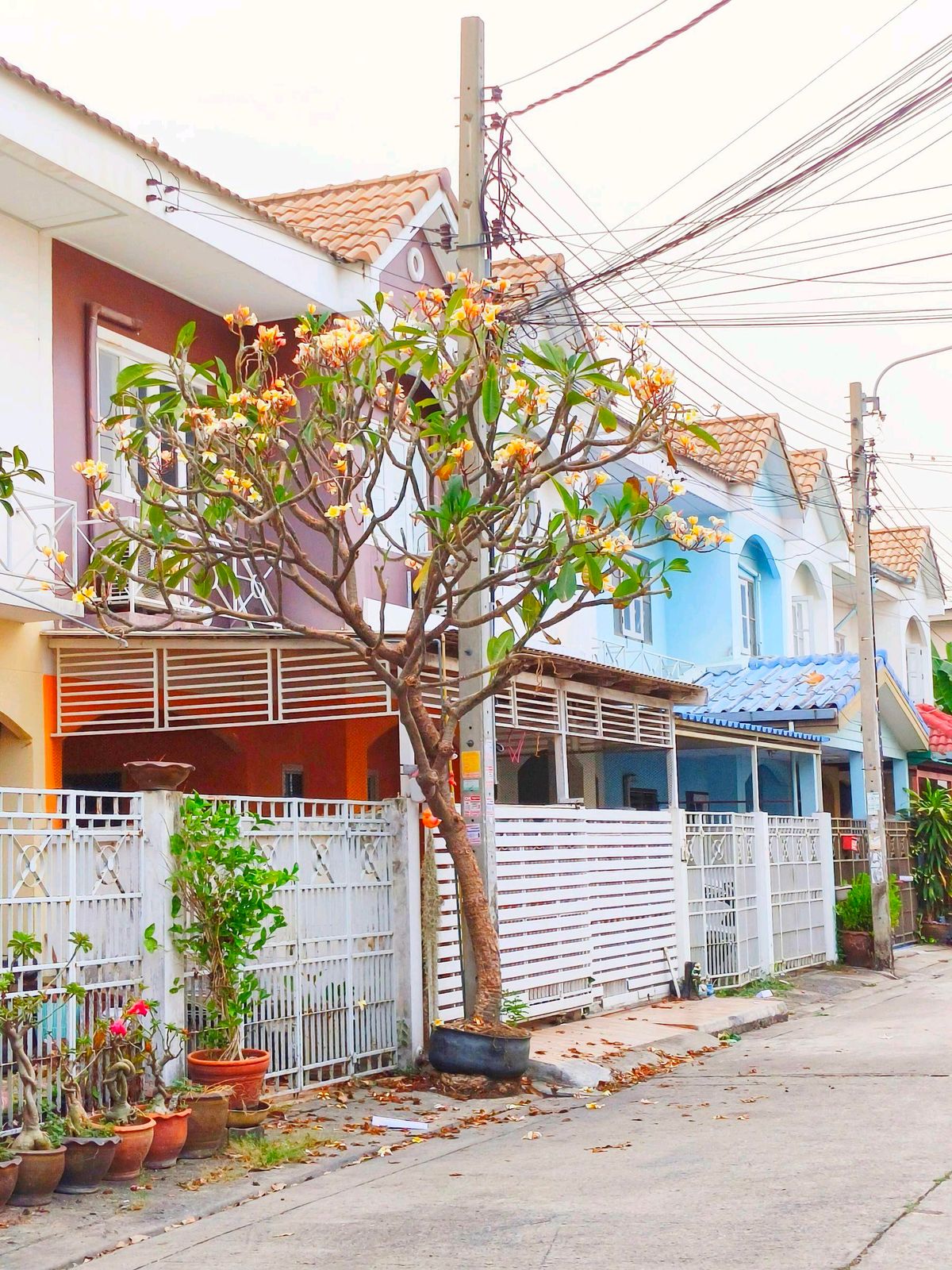 For SaleTownhomeNonthaburi, Bang Yai, Bangbuathong : Livable townhouse