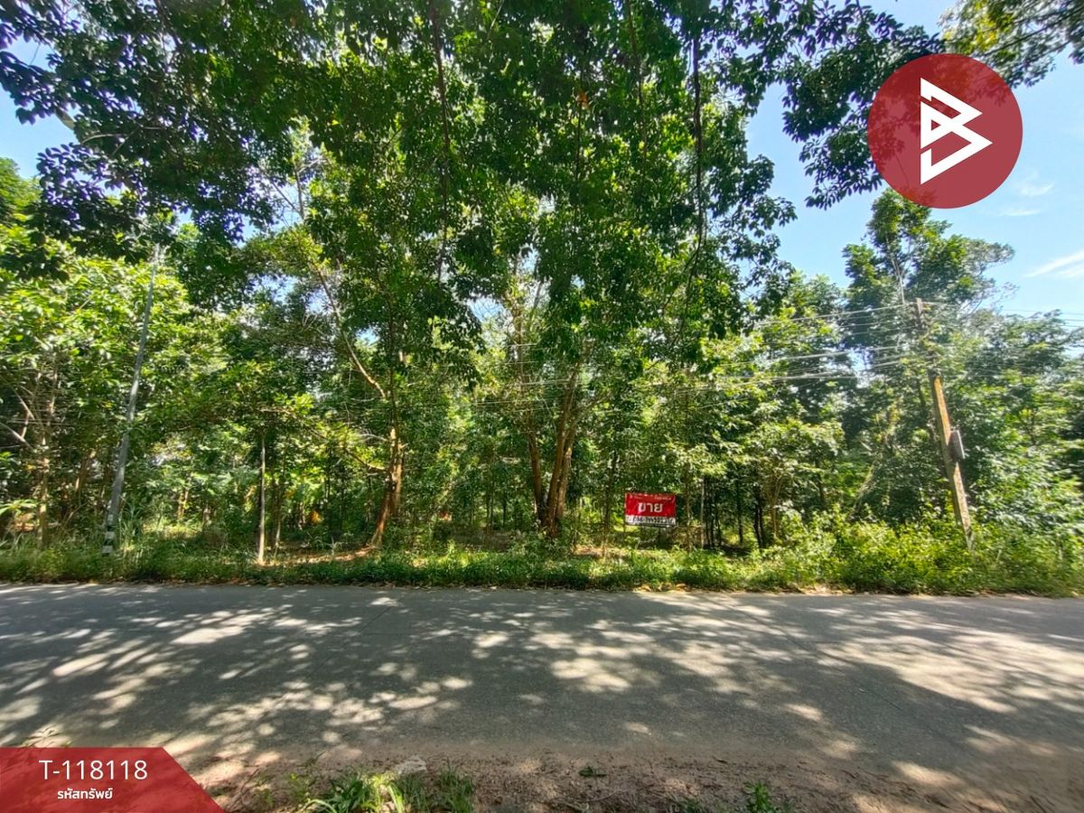 For SaleLandRayong : Land for sale, area of 3 rai 1 ngan 97.5 sq.wah, Rayong Nam Nam
