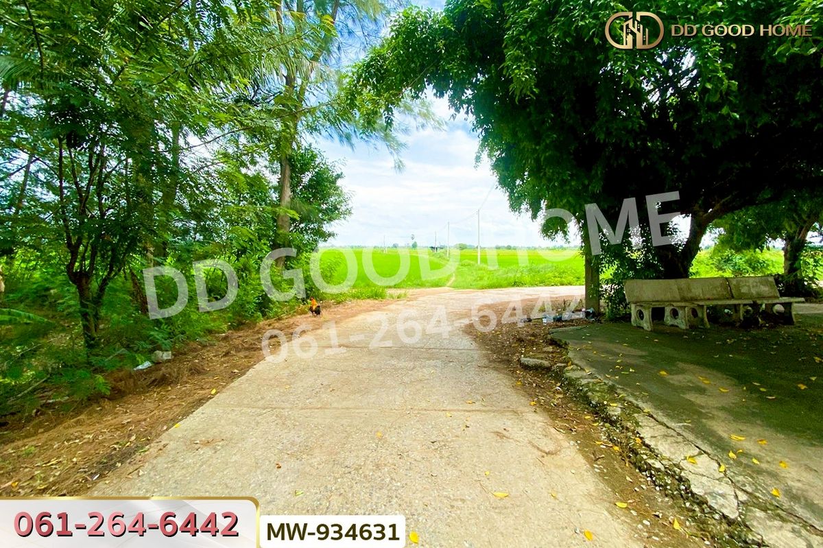 ขายที่ดินอ่างทอง : AW-934631 ที่ดินวังน้ำเย็น 19 ไร่ 46 ตร.ว. อ่างทอง ใกล้วัดหนองยาง