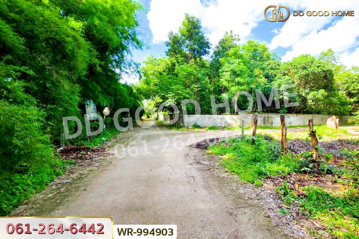 ขายที่ดินอุดรธานี : WR-994903 ที่ดินหนองนาคำ 15 ไร่ อุดรธานี ใกล้วัดป่าศิริมงคล