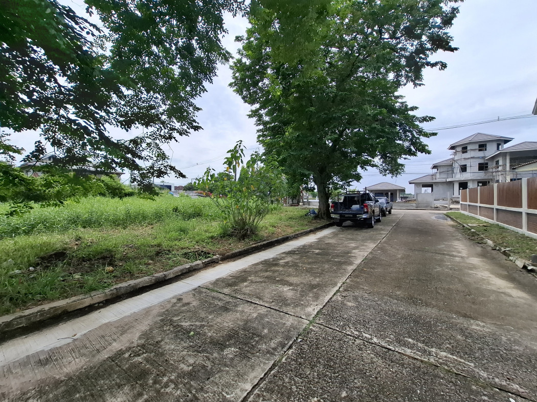 ขายที่ดินพุทธมณฑล ศาลายา : ขายถูกที่สุด ที่ดินริมน้ำ หมู่บ้านกฤษดานคร ปิ่นเกล้า  319 ตรว บรรยากาศดีมาก KK