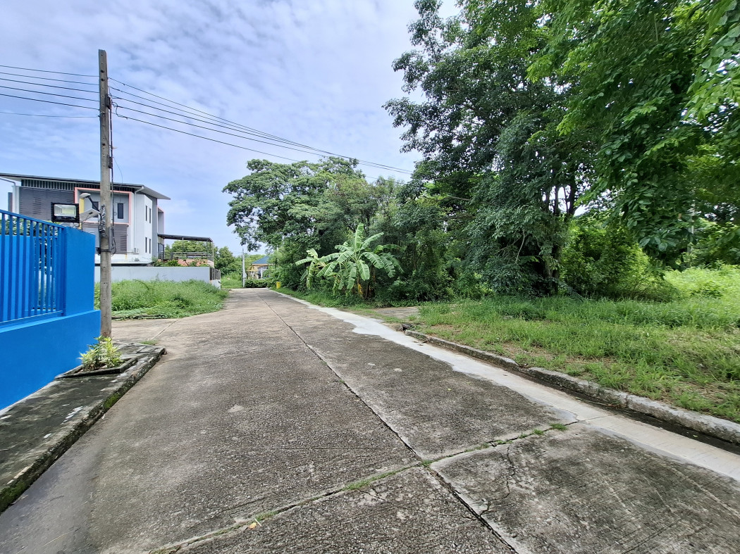 ขายที่ดินพุทธมณฑล ศาลายา : ขายถูกที่สุด ที่ดินริมน้ำ หมู่บ้านกฤษดานคร ปิ่นเกล้า  319 ตรว บรรยากาศดีมาก KK