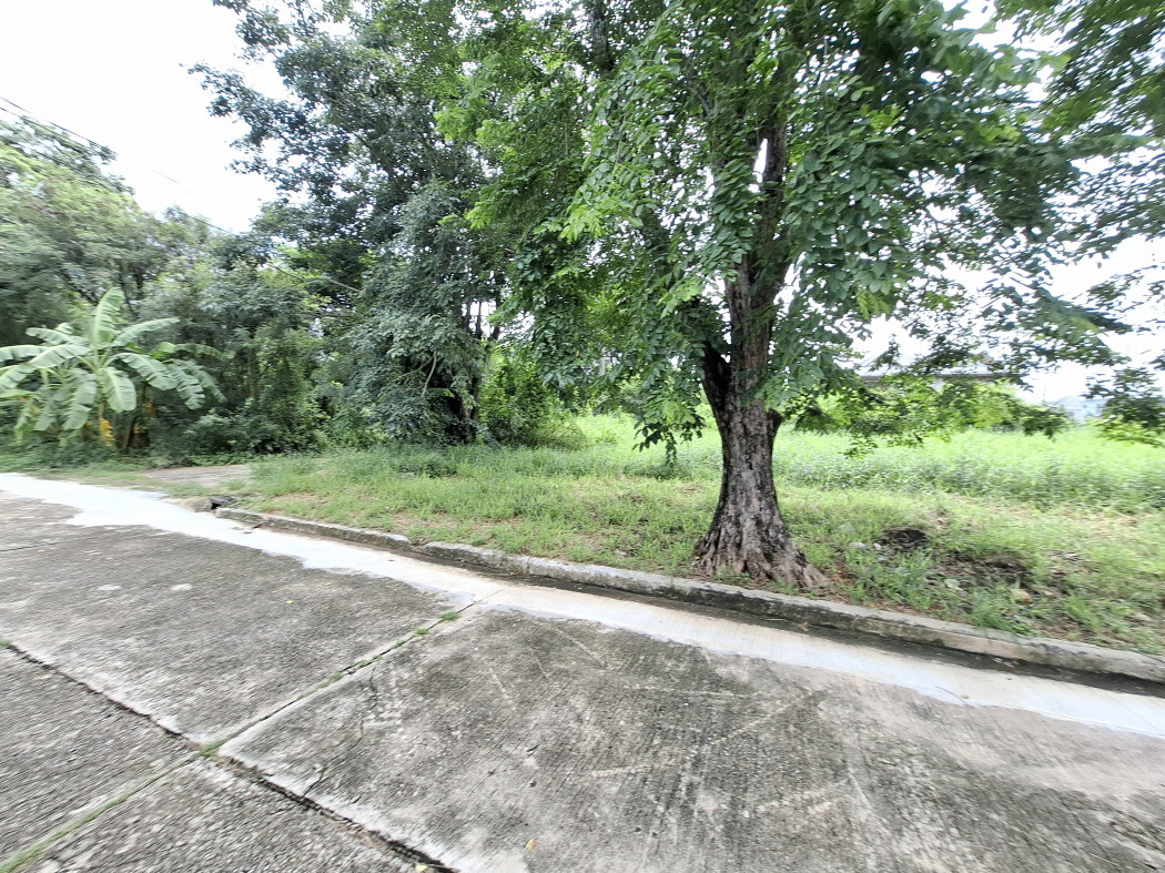 ขายที่ดินพุทธมณฑล ศาลายา : ขายถูกที่สุด ที่ดินริมน้ำ หมู่บ้านกฤษดานคร ปิ่นเกล้า  319 ตรว บรรยากาศดีมาก KK