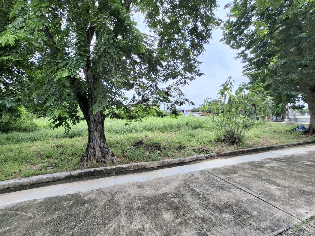 ขายที่ดินพุทธมณฑล ศาลายา : ขายถูกที่สุด ที่ดินริมน้ำ หมู่บ้านกฤษดานคร ปิ่นเกล้า  319 ตรว บรรยากาศดีมาก KK