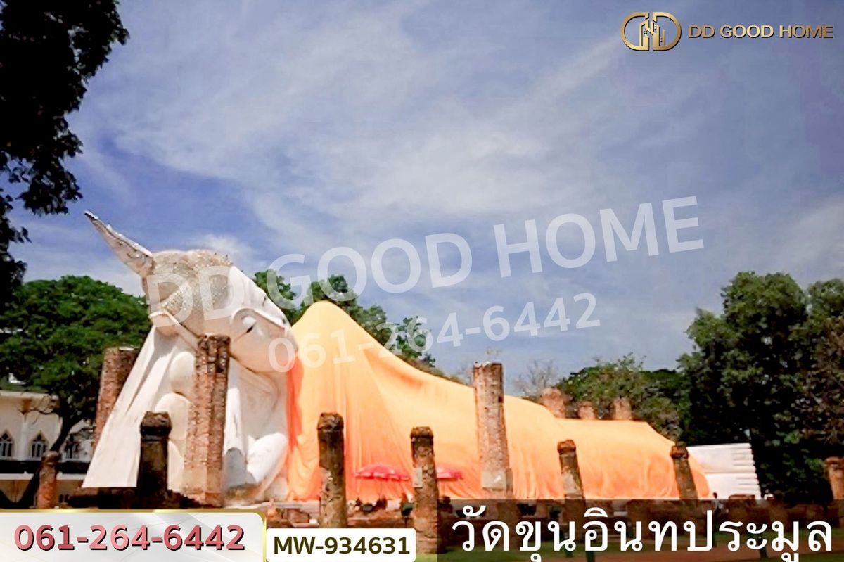 ขายที่ดินอ่างทอง : AW-934631 ที่ดินวังน้ำเย็น 19 ไร่ 46 ตร.ว. อ่างทอง ใกล้วัดหนองยาง