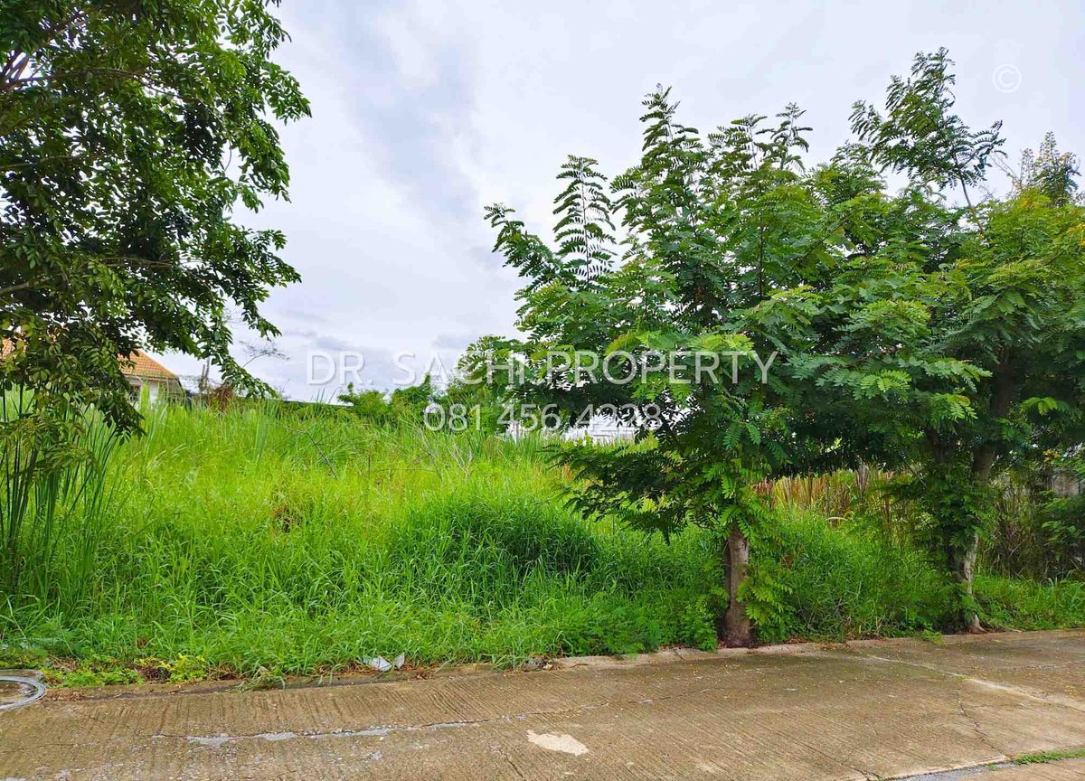 ขายที่ดินนนทบุรี บางใหญ่ บางบัวทอง : ขายที่ดินสวย บางบัวทอง 3 งาน 20 ตรว. ทำเลดี ถนนวัดลาดปลาดุก ใกล้ เซ็นทรัล เวสต์เกต 