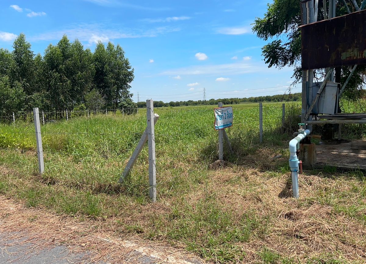 ขายที่ดินอยุธยา : ขายที่ดิน 20 ไร่ 2 โลถึง มอเตอร์เวย์วังน้อย ติดถนนตัดผ่านทั้งหน้าและหลัง 2.8 โล ถึงนิคมอุตสาหหกรรมจีน 093 296 2878