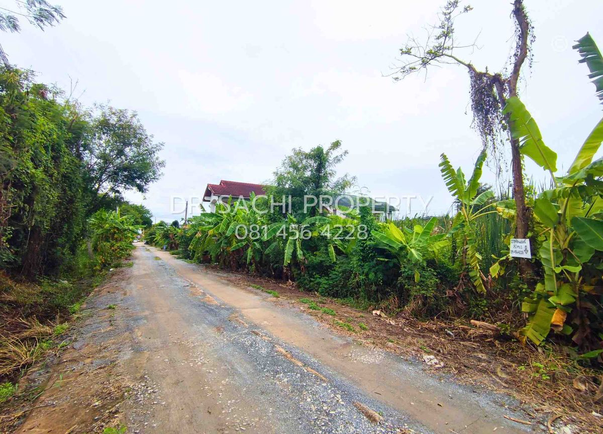 ขายที่ดินนนทบุรี บางใหญ่ บางบัวทอง : ขายที่ดินสวย บางบัวทอง 3 งาน 20 ตรว. ทำเลดี ถนนวัดลาดปลาดุก ใกล้ เซ็นทรัล เวสต์เกต 