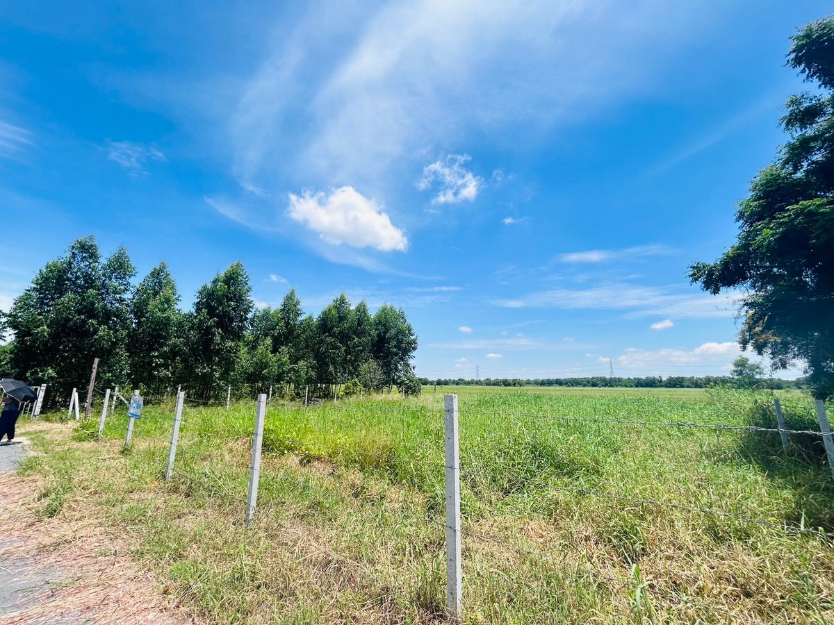 ขายที่ดินอยุธยา : ขายที่ดิน 20 ไร่ 2 โลถึง มอเตอร์เวย์วังน้อย ติดถนนตัดผ่านทั้งหน้าและหลัง 2.8 โล ถึงนิคมอุตสาหหกรรมจีน 093 296 2878