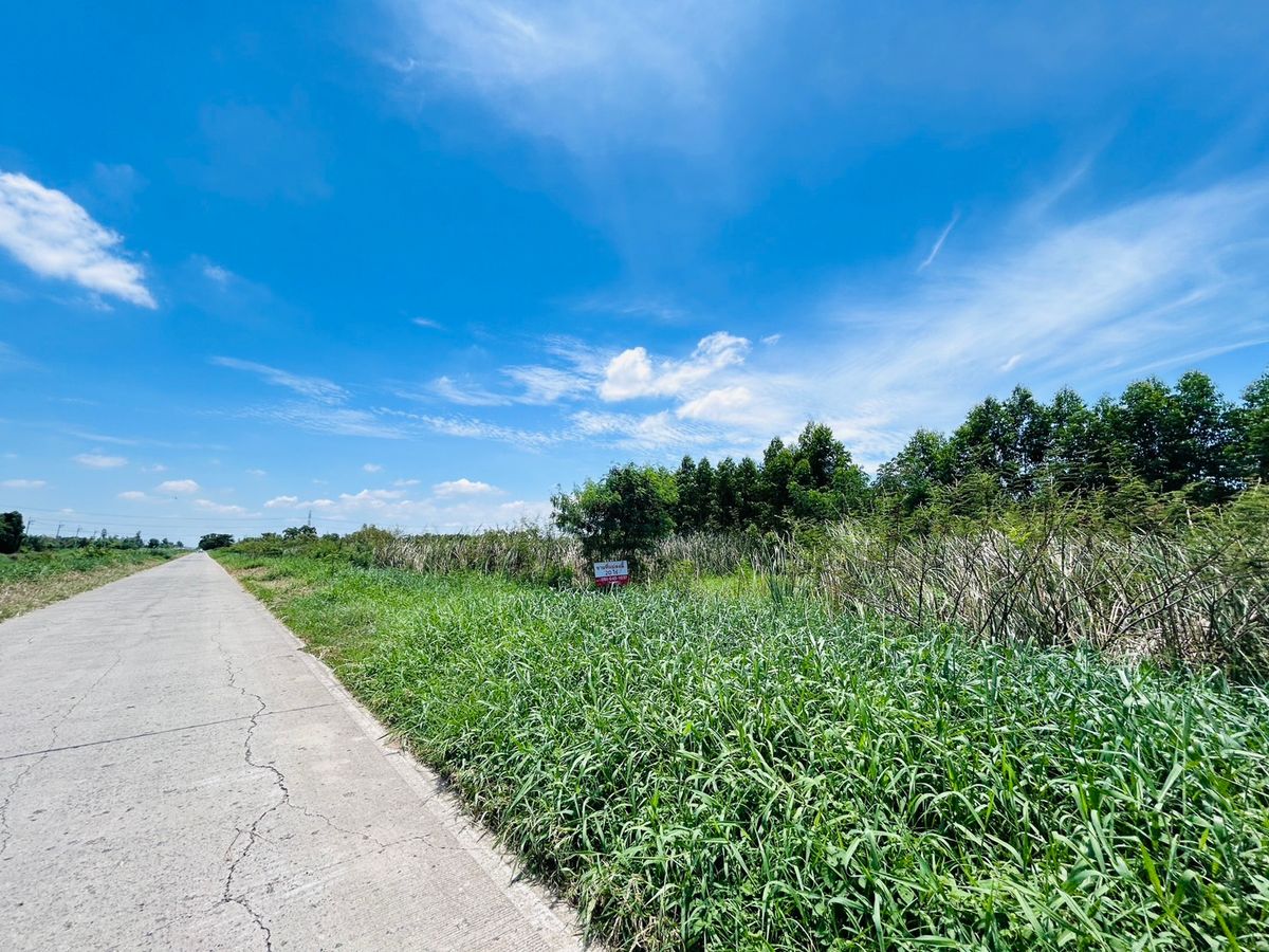 ขายที่ดินอยุธยา : ขายที่ดิน 20 ไร่ 2 โลถึง มอเตอร์เวย์วังน้อย ติดถนนตัดผ่านทั้งหน้าและหลัง 2.8 โล ถึงนิคมอุตสาหหกรรมจีน 093 296 2878