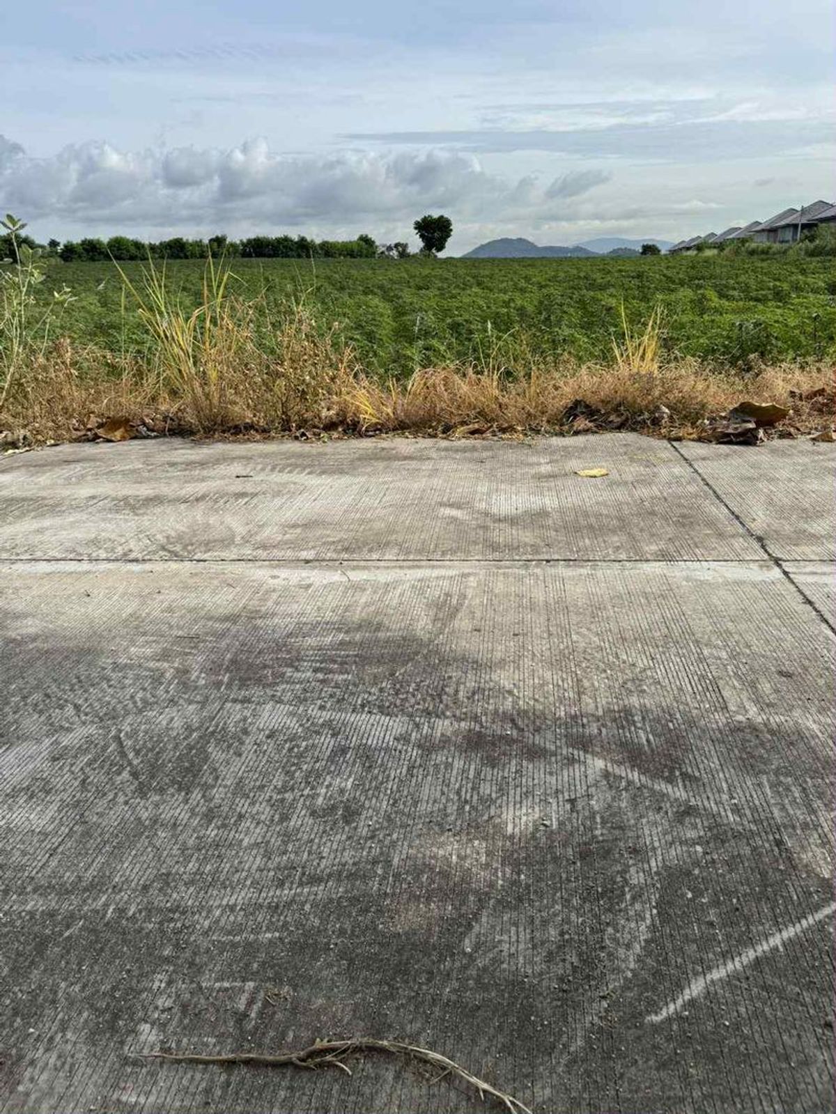 For SaleLandSriracha Laem Chabang Ban Bueng : Selling a beautiful plot of land, Sriracha Bo Win, the district is expanding near Burapha Golf Course.