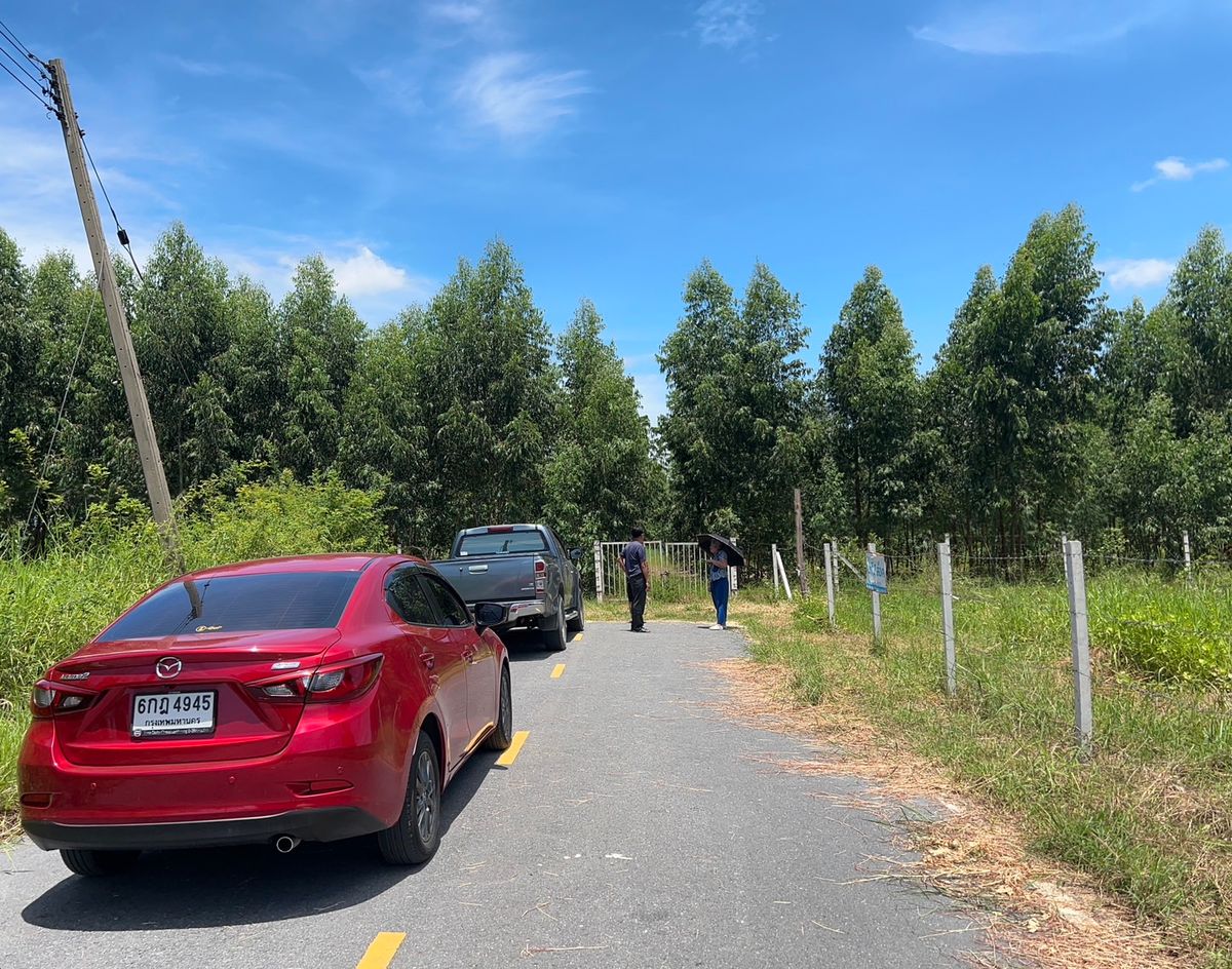 For SaleLandAyutthaya : Land for sale 20 rai 2.39 kilograms to Wang Noi motorway Next to the concrete road, cut through both front and back, 2.8 Lo to Chinese Industrial Estate 093 296 2878
