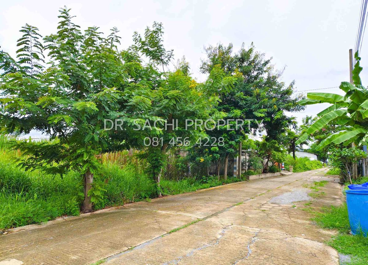 ขายที่ดินนนทบุรี บางใหญ่ บางบัวทอง : ขายที่ดินสวย บางบัวทอง 3 งาน 20 ตรว. ทำเลดี ถนนวัดลาดปลาดุก ใกล้ เซ็นทรัล เวสต์เกต 