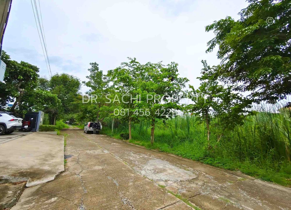 ขายที่ดินนนทบุรี บางใหญ่ บางบัวทอง : ขายที่ดินสวย บางบัวทอง 3 งาน 20 ตรว. ทำเลดี ถนนวัดลาดปลาดุก ใกล้ เซ็นทรัล เวสต์เกต 