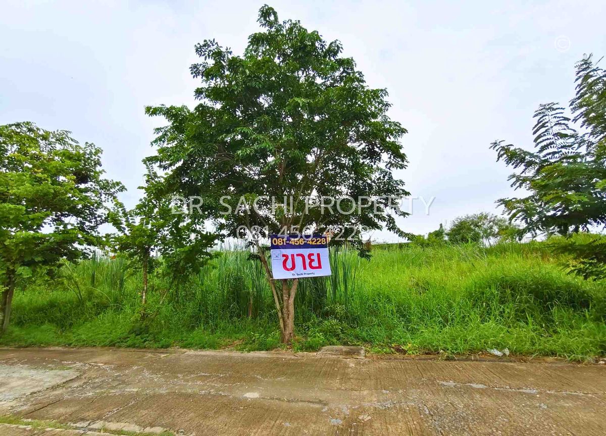 ขายที่ดินนนทบุรี บางใหญ่ บางบัวทอง : ขายที่ดินสวย บางบัวทอง 3 งาน 20 ตรว. ทำเลดี ถนนวัดลาดปลาดุก ใกล้ เซ็นทรัล เวสต์เกต 