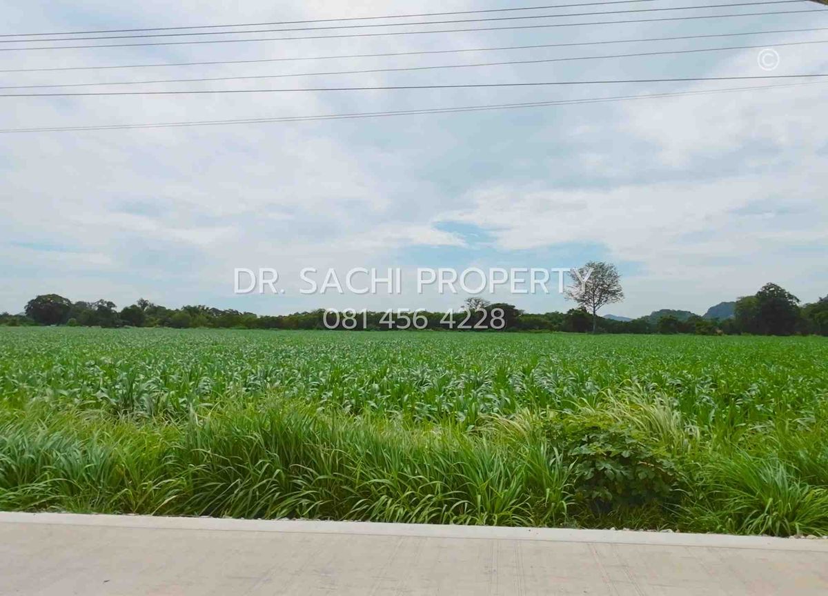 ขายที่ดินสระบุรี : ขายถูก ที่ดินสวยแปลงใหญ่ ใกล้วัดพระพุทธบาท 42 ไร่ 2 งาน 91.3 ตรว. อ.พระพุทธบาท จ.สระบุรี