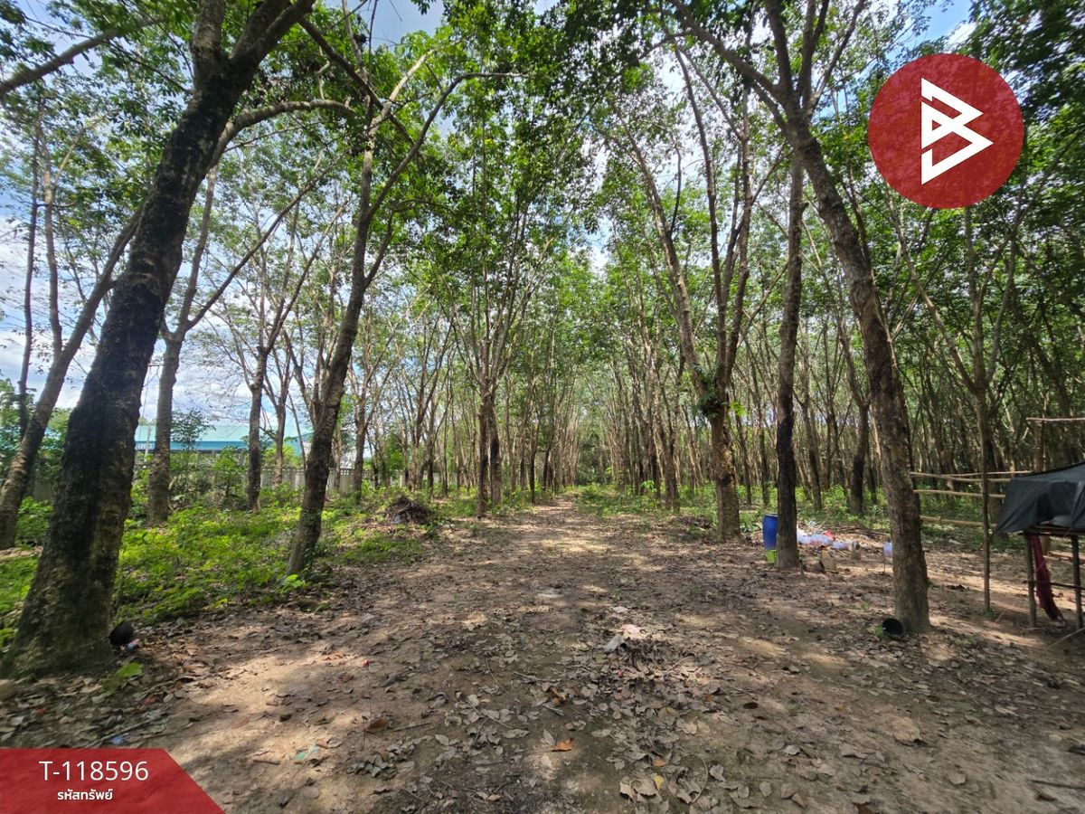 For SaleLandRayong : Land for sale in an area of 21 rai 1 ngan 2 sq.wah Wang Chan Rayong