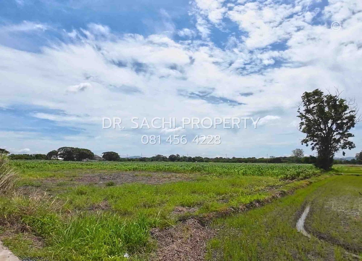 ขายที่ดินสระบุรี : ขายถูก ที่ดินสวยแปลงใหญ่ ใกล้วัดพระพุทธบาท 42 ไร่ 2 งาน 91.3 ตรว. อ.พระพุทธบาท จ.สระบุรี