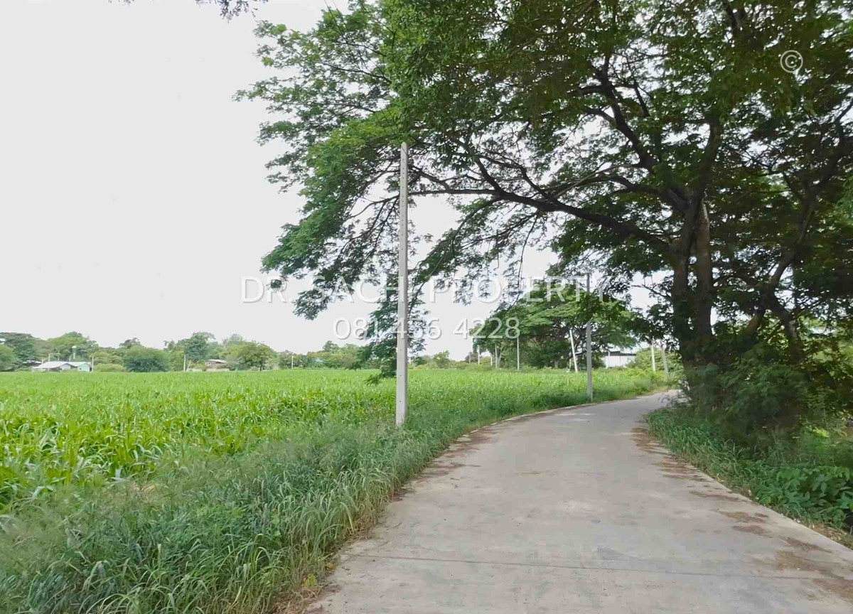 ขายที่ดินสระบุรี : ขายถูก ที่ดินสวยแปลงใหญ่ ใกล้วัดพระพุทธบาท 42 ไร่ 2 งาน 91.3 ตรว. อ.พระพุทธบาท จ.สระบุรี