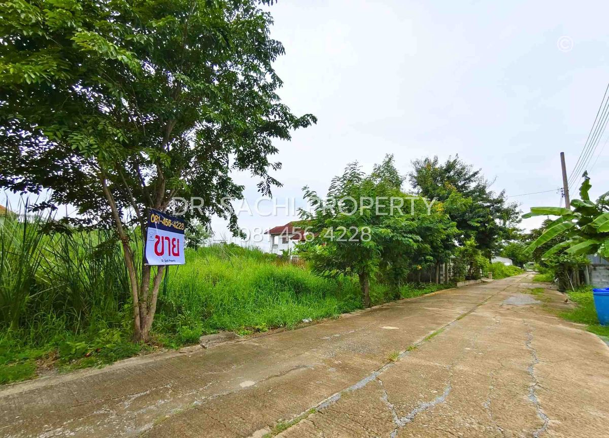 ขายที่ดินนนทบุรี บางใหญ่ บางบัวทอง : ขายที่ดิน 3 งาน 20 ตรว. บางบัวทอง (บ้านกล้วย-ไทรน้อย) ใกล้ เซ็นทรัล เวสต์เกต