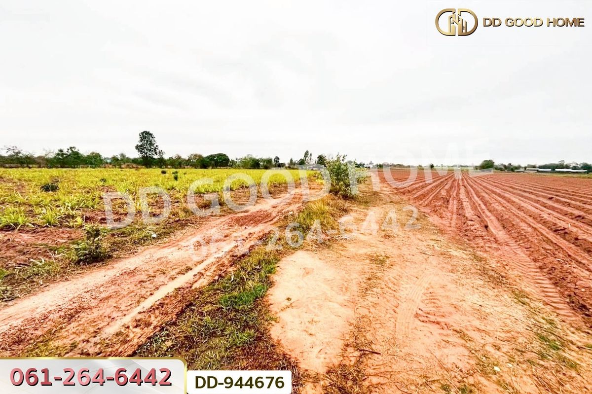 ขายที่ดินอุดรธานี : DD-944676 ที่ดินโนนสะอาด 26 ไร่ 18 ตร.ว.อุดรธานี ใกล้ที่ว่าการอำเภอโนนสะอาด