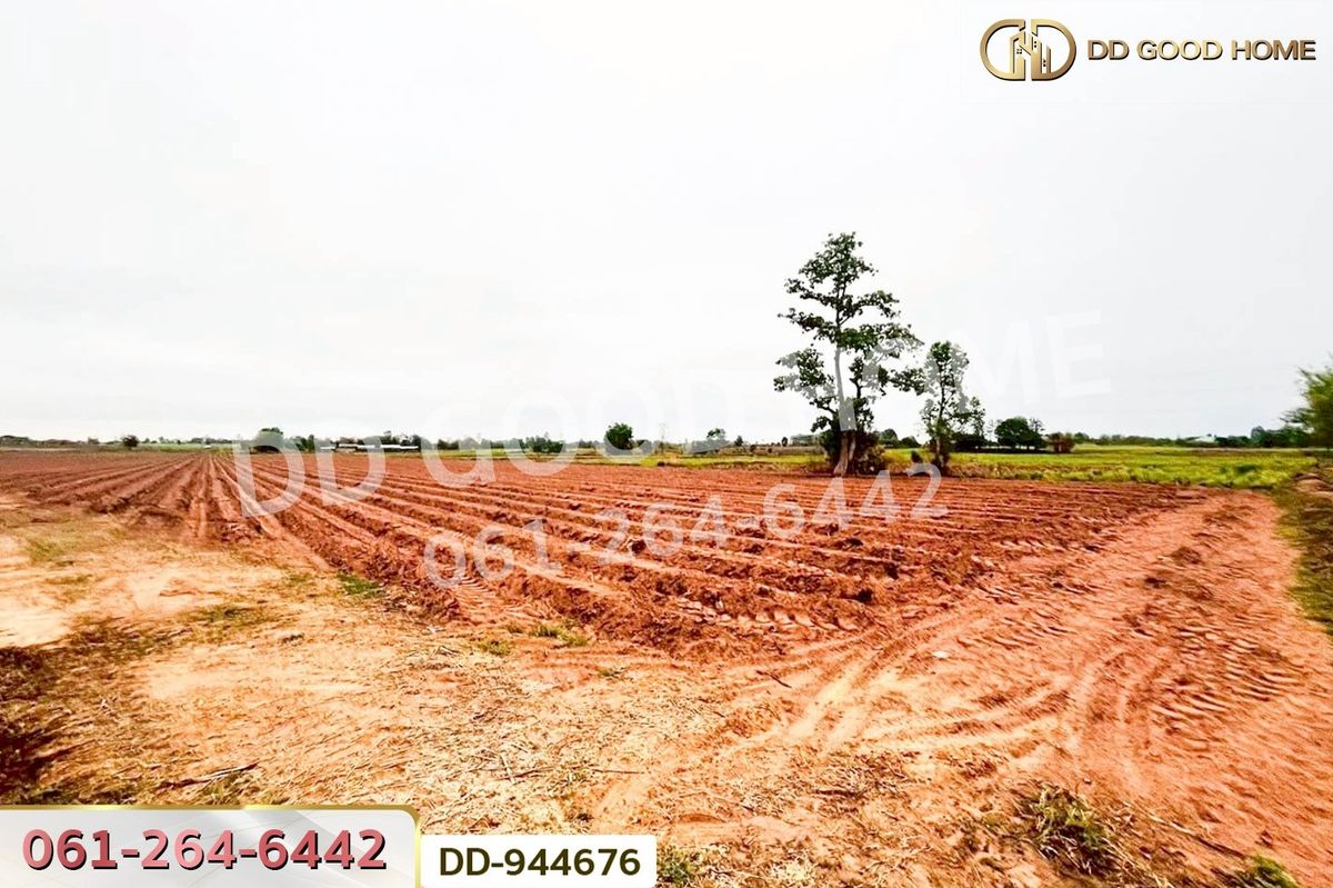 ขายที่ดินอุดรธานี : DD-944676 ที่ดินโนนสะอาด 26 ไร่ 18 ตร.ว.อุดรธานี ใกล้ที่ว่าการอำเภอโนนสะอาด