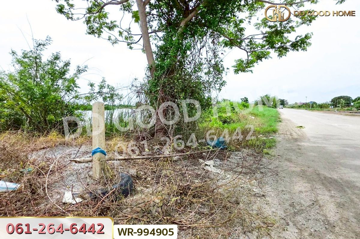 ขายที่ดินฉะเชิงเทรา : WR-994905 ที่ดิน 6 ไร่ บางปะกง ฉะเชิงเทรา ใกล้โรงพยาบาลจุฬารัตน์ 11 อินเตอร์